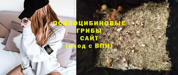 гашик Липки