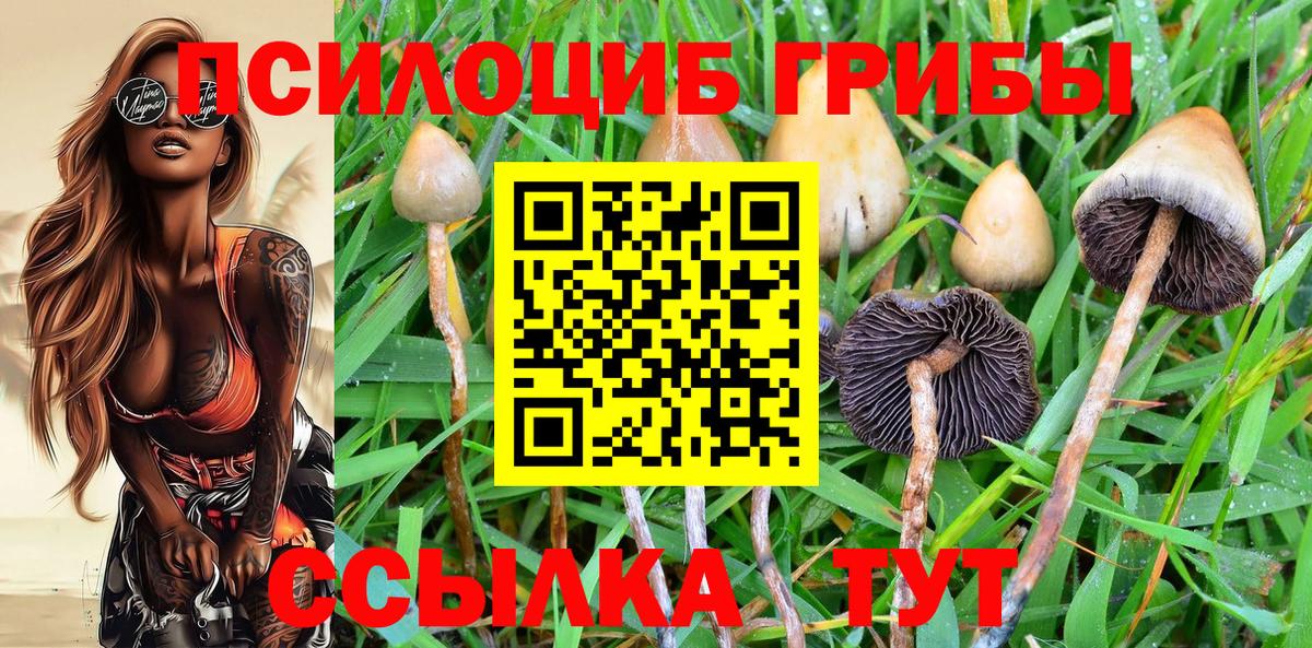 Псилоцибиновые грибы мицелий  продажа наркотиков  Сосновый Бор  Вход с VPN 