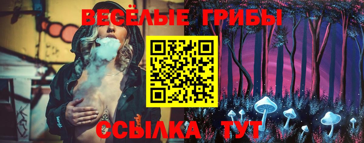 Псилоцибиновые грибы мицелий  Сосновый Бор 