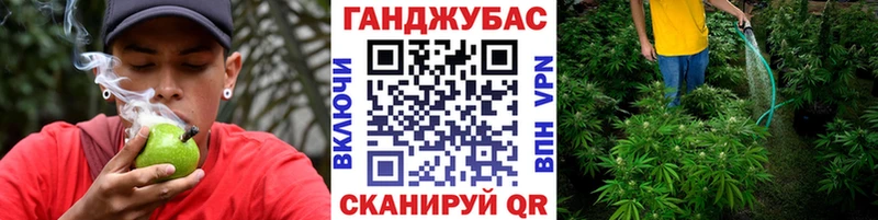 Марихуана гибрид  Сосновый Бор 